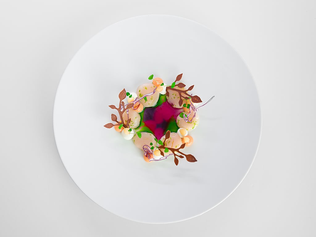 Plats-BDS-fond-blanc-Noxediem-3