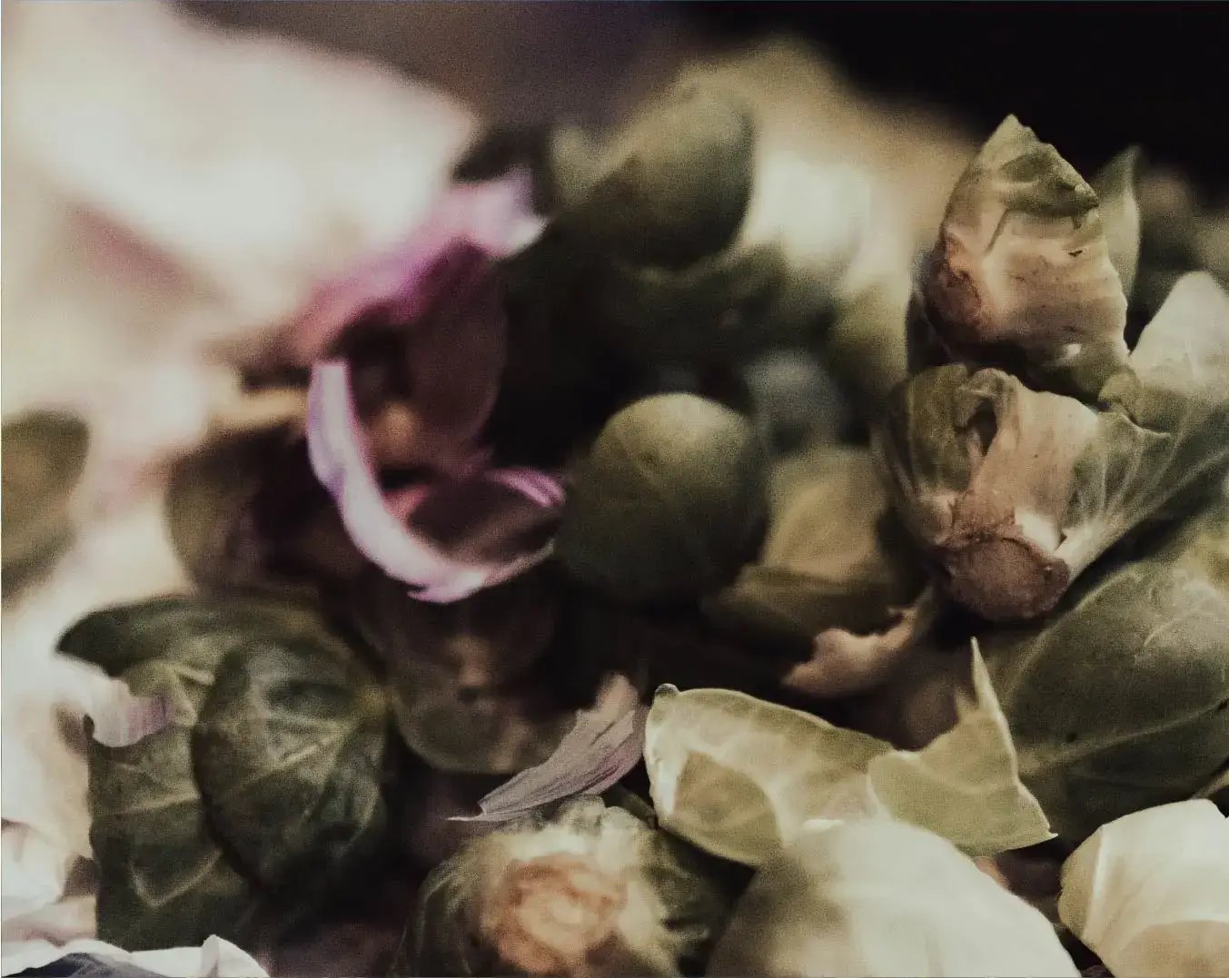 gaspillage-alimentaire-dans-la-restauration