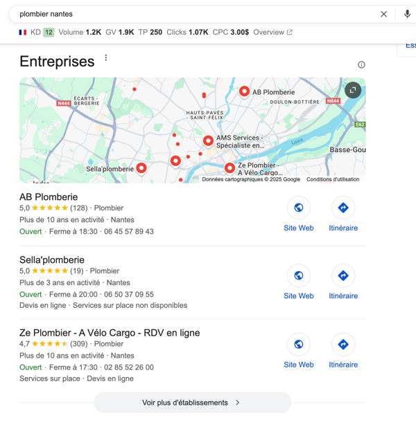 Google Local Pack Plombier Nantes