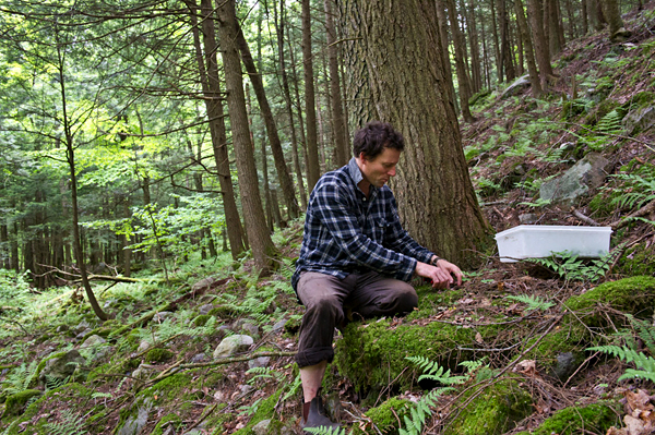 Connaissez-vous ces 8 nouveaux métiers insolites autour de la gastronomie ?