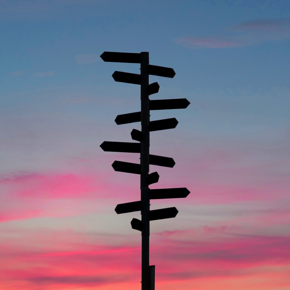 TheForkMedialog | Medialog