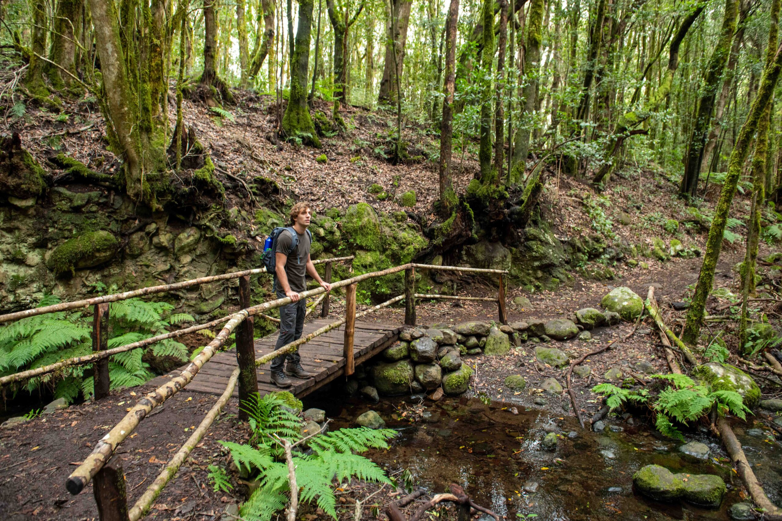 FITUR 2026 : La Gomera mise sur de nouvelles expériences écotouristiques