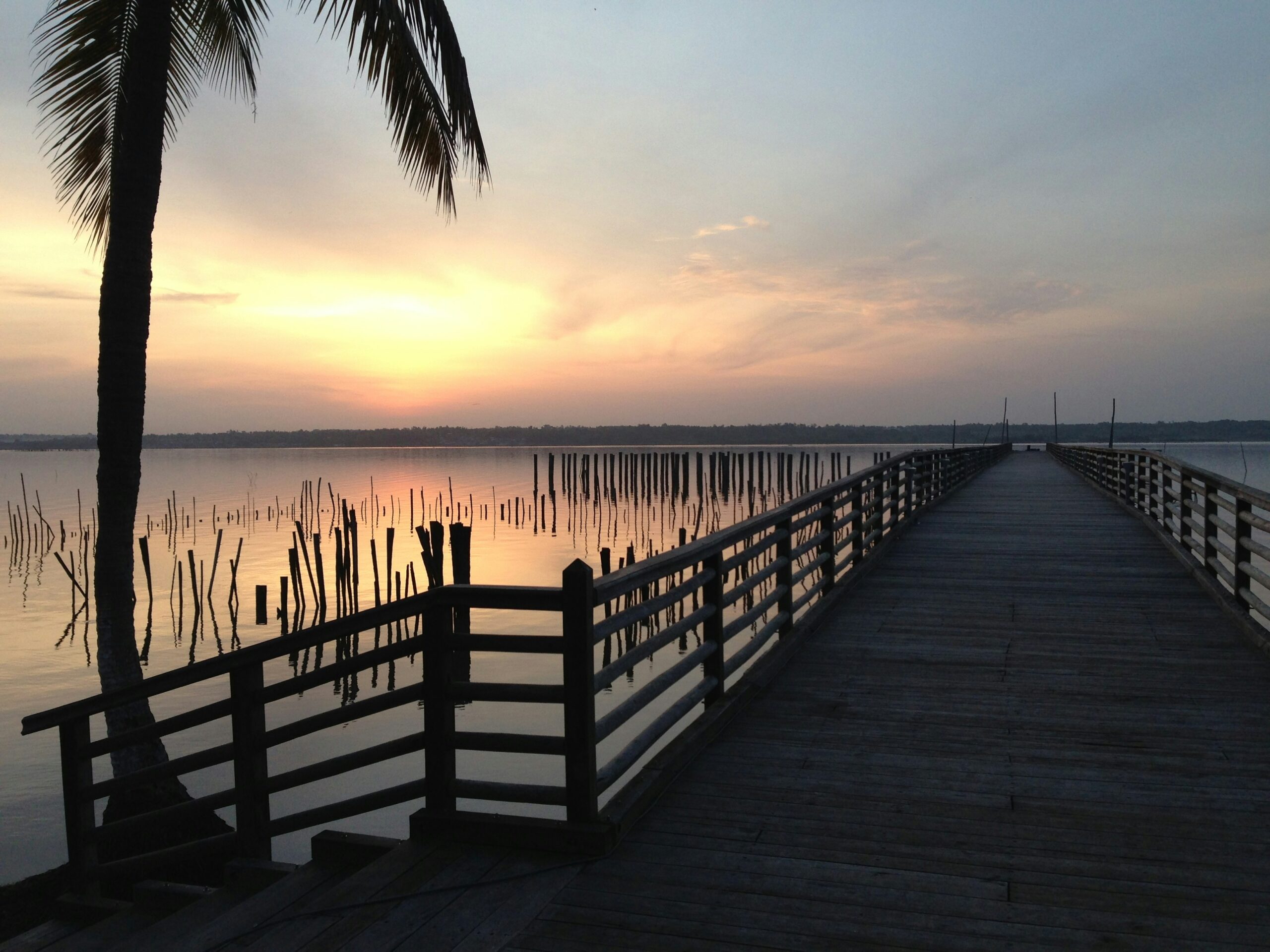 La diversité culturelle et naturelle du Bénin mise en avant avec ses réserves, villages lacustres et traditions UNESCO.