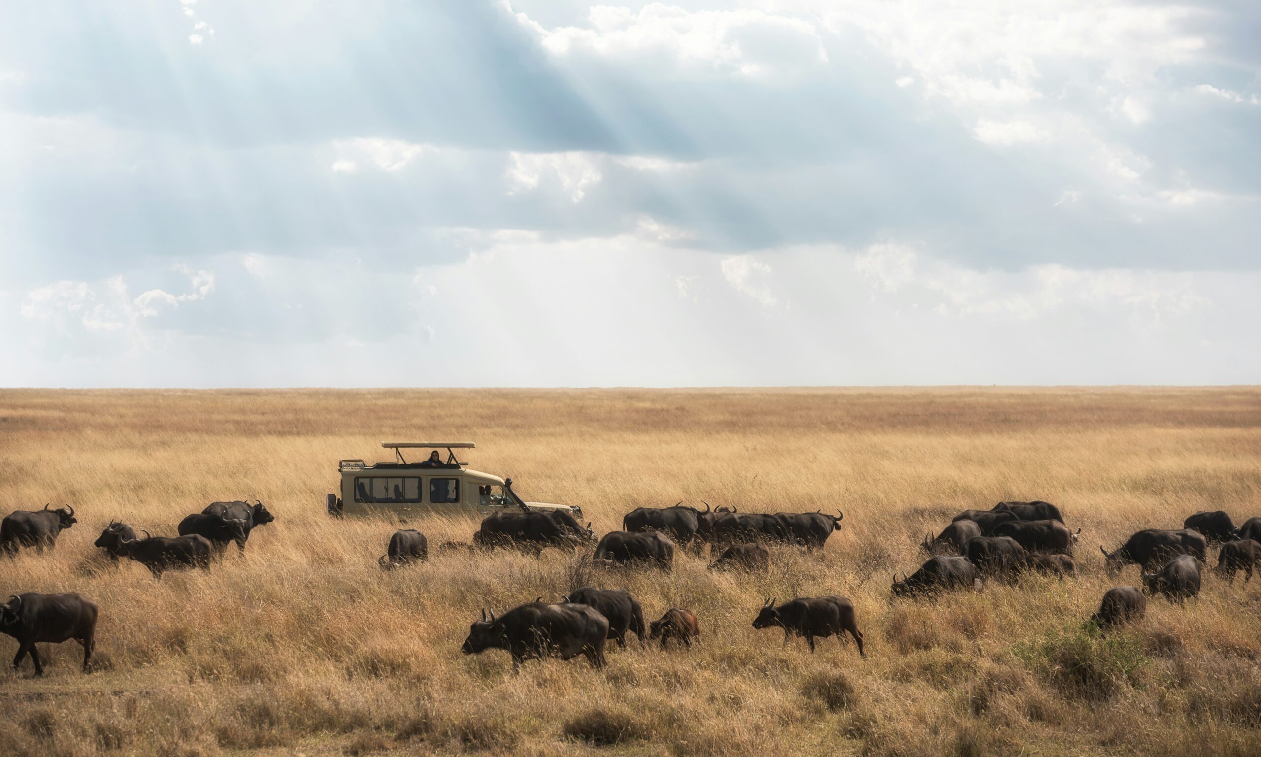 Auberge Collection Lance Son Premier Projet Africain Avec Neuf Établissements De Safari Ultra-Luxe En Tanzanie