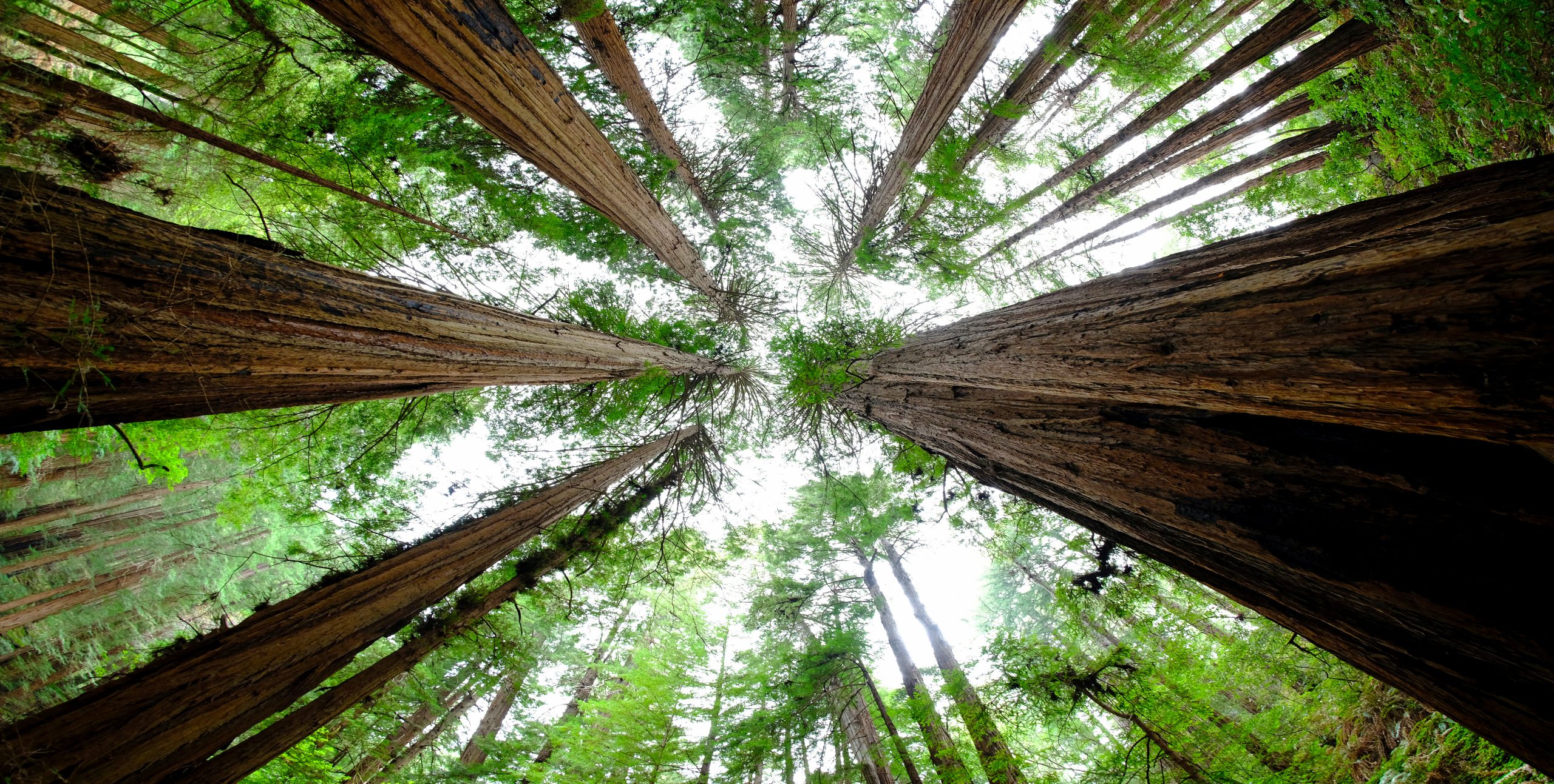 ExplorUS adopte Cloudbeds pour centraliser la gestion de 30 propriétés dans les parcs nationaux américains.