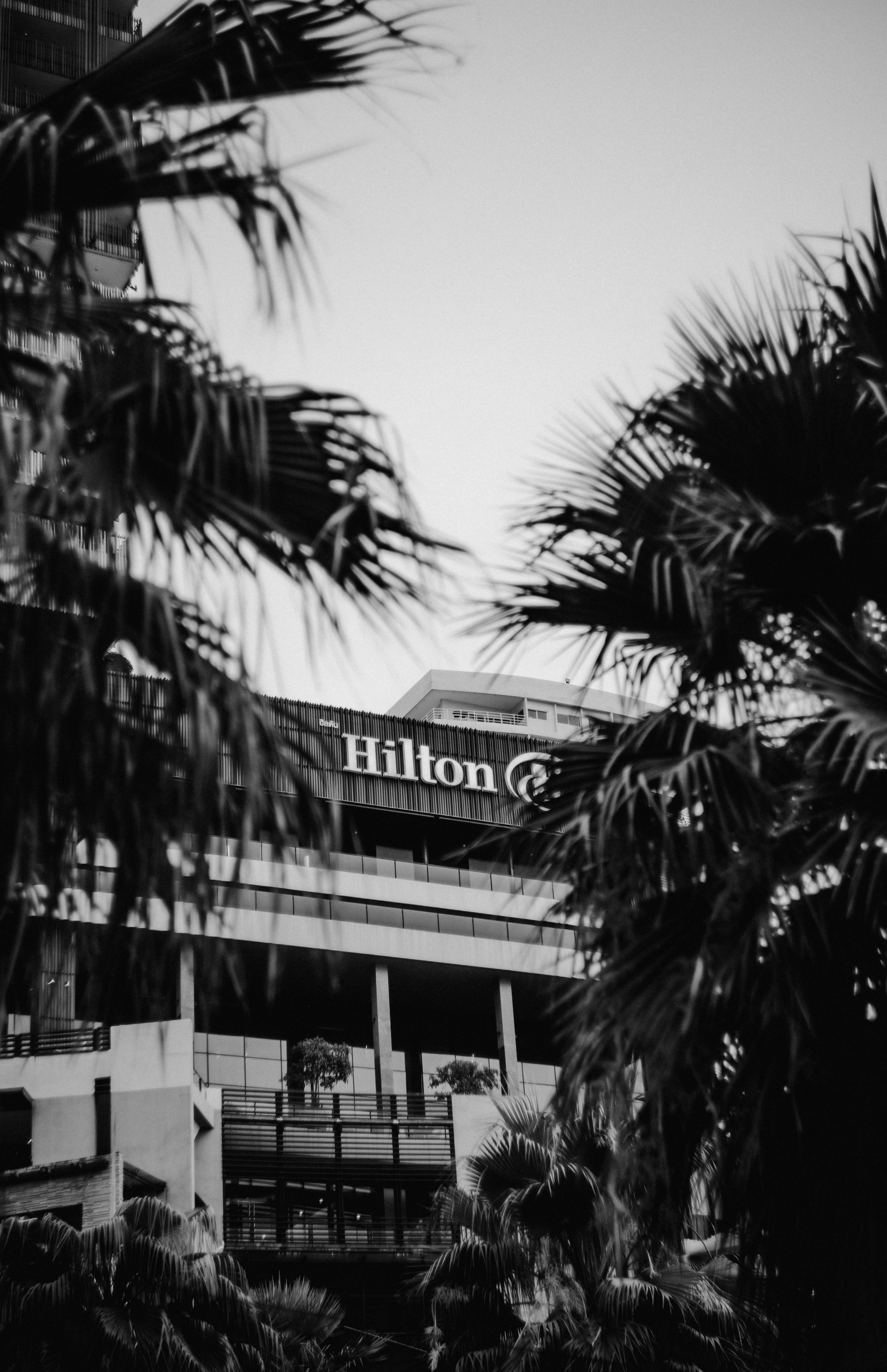 Sébastien Couderc nommé directeur du développement France chez Hilton pour renforcer le portefeuille via franchise et management