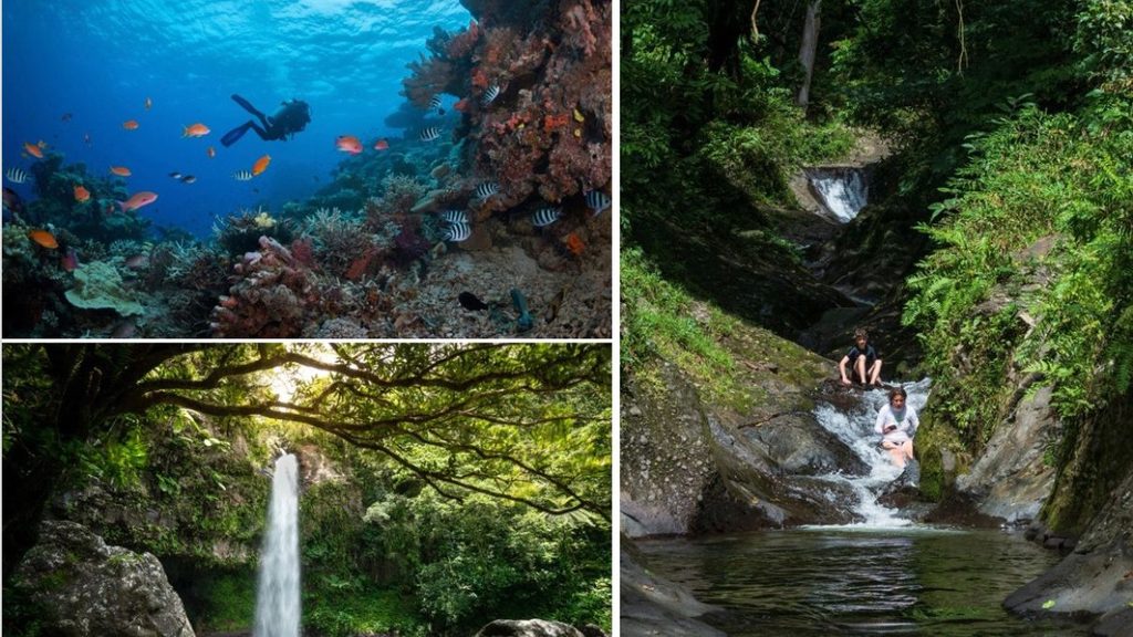 Les îles Fidji offrent cinq expériences touristiques uniques : patrimoine, nature et aventure, au-delà des plages.